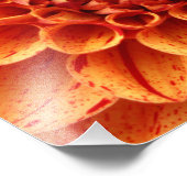 クローズアップオレンジ色の花の写真の拡大 フォトプリント            (角)