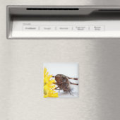 クローズアップドラゴンフライ顔と黄色のタンポポの花 マグネット (インサイチュ (食洗機))