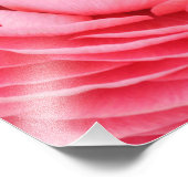 クローズアップピンクフラワーフォトプリント フォトプリント            (角)