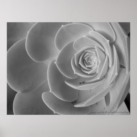 クローズアップポスター ポスター (正面)