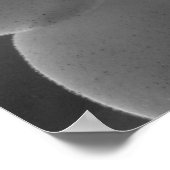 クローズアップポスター ポスター (角)