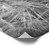 クローズアップマクロダンデオンパフボール自然 ポスター (角)