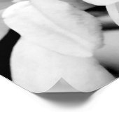 クローズアップマグノリア開花アート ポスター (角)