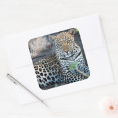 クローズアップリョウポートレート座 スクエアシール (封筒)