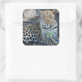 クローズアップリョウポートレート座 スクエアシール (バッグ)