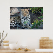 クローズアップリョウポートレート座 ポスター (キッチン)