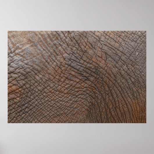 クローズアップ写真で茶色の象 ポスター (正面)