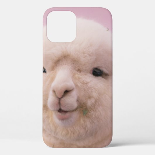 クローズアップ写真の白い羊 Case-Mate iPhoneケース (裏面)