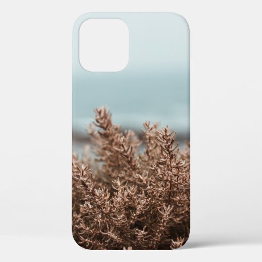 クローズアップ写真の茶色植物 Case-Mate iPhoneケース (裏面)