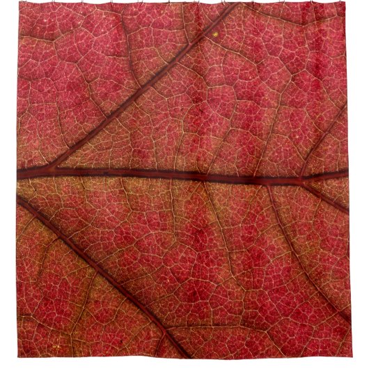 クローズアップ写真の赤い葉 シャワーカーテン (正面)