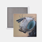 クローズアップ昆虫頭 マグネット (正面/裏面)