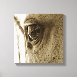 クローズアップ白馬の目のセピア像 キャンバスプリント