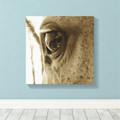 クローズアップ白馬の目のセピア像 キャンバスプリント (インサイチュ (ウッドフロア))