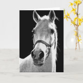 クローズアップ白黒ホースinナイト カード (黄色い花)