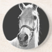 クローズアップ白黒ホースinナイト コースター (正面)