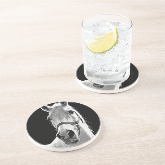 クローズアップ白黒ホースinナイト コースター (側面)