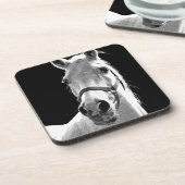 クローズアップ白黒ホースinナイト コースター (左側)