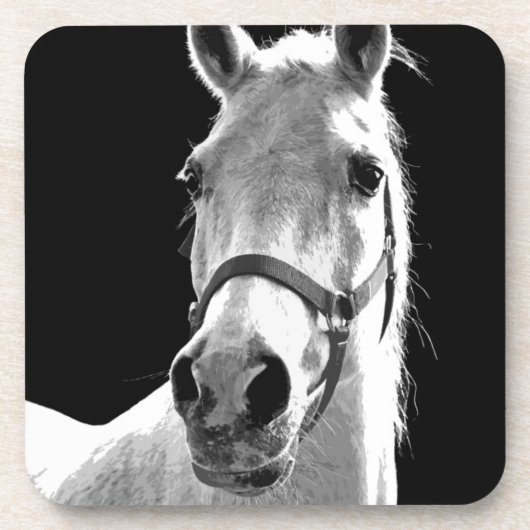 クローズアップ白黒ホースinナイト コースター (正面)