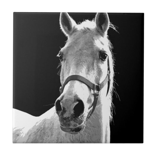 クローズアップ白黒ホースinナイト タイル (正面)