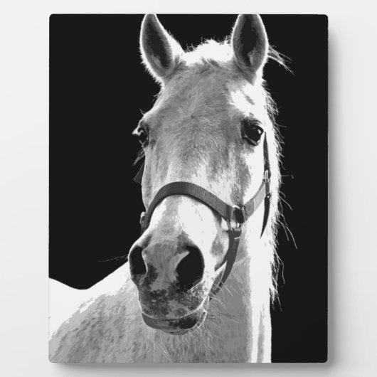 クローズアップ白黒ホースinナイト フォトプラーク (正面)