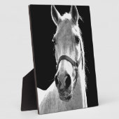 クローズアップ白黒ホースinナイト フォトプラーク (側面)