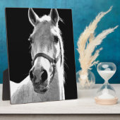 クローズアップ白黒ホースinナイト フォトプラーク (側面)