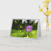 クローズアップ紫のクレマティス緑の葉を写真 カード (黄色い花)