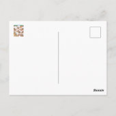 クローズアップ綿フィールド葉書 ポストカード (裏面)