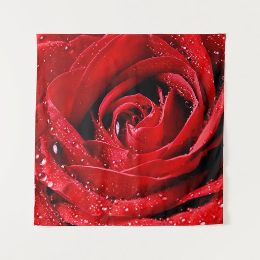 クローズアップ美しいバラ水滴 タペストリー (正面)