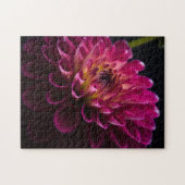 クローズアップ花シリーズ:ダリア ジグソーパズル (横)