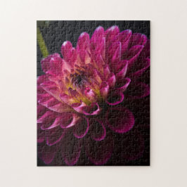 クローズアップ花シリーズ：ダリア ジグソーパズル