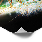 クローズアップ詳細花自然撮影 ポスター (角)