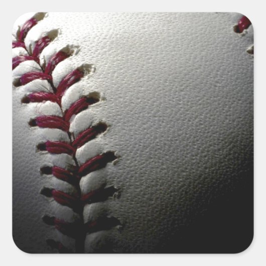 クローズアップ野球 スクエアシール (正面)