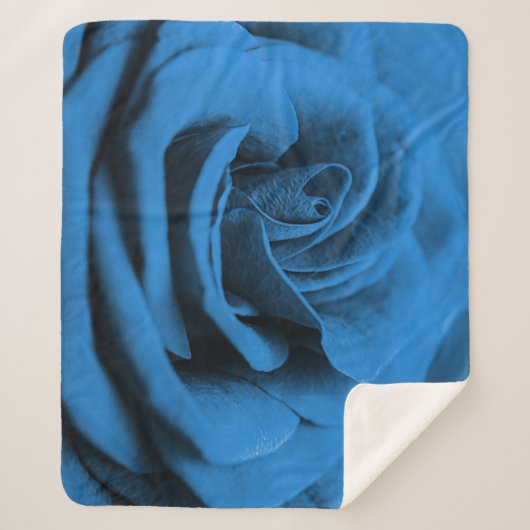 クローズアップ青の赤のローズ、マクロ美しい。 シェルパブランケット (正面)