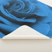 クローズアップ青の赤のローズ、マクロ美しい。 シェルパブランケット (3/4)