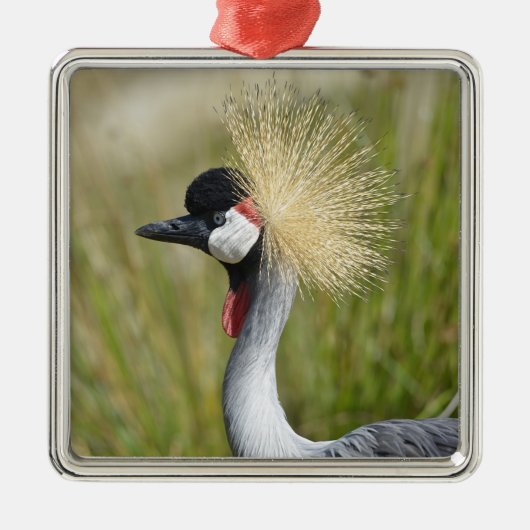 クローズアップ黒冠クレーン メタルオーナメント (正面)