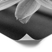 クローズアップ・バタフライ ポスター (角)