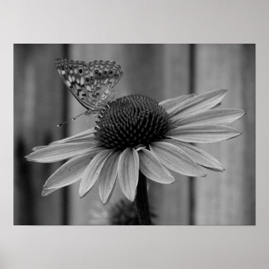 クローズアップ・バタフライ ポスター (正面)