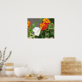 クローズアップ・バタフライ ポスター (キッチン)