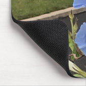 クローズアップ ブルーカスケード アサガオ マウスパッド (コーナー)