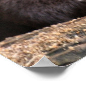 クローズアップ ポスター (角)