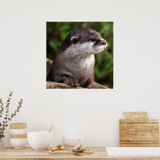 クローズアップ ポスター (キッチン)