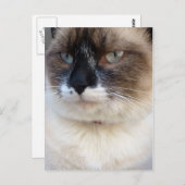 クローズアップ ポストカード (正面/裏面)