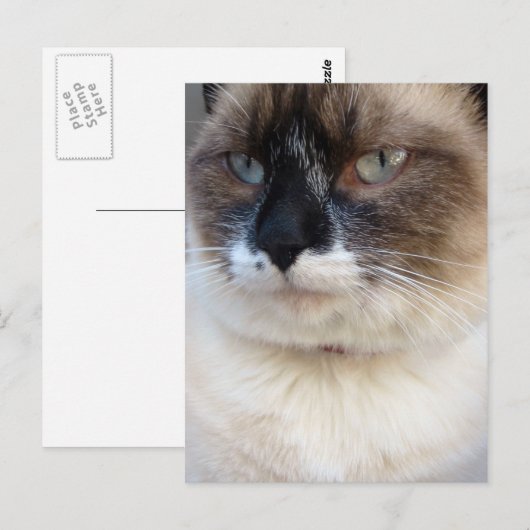 クローズアップ ポストカード (正面/裏面)