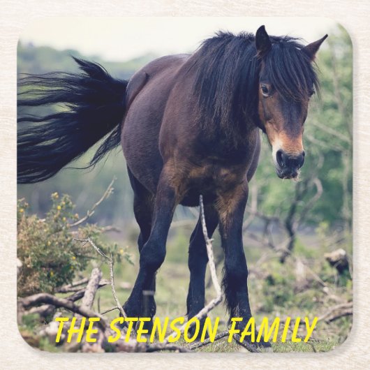 クローズアップ・ワイルドホース スクエアペーパーコースター (正面)