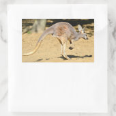 クローズアップkangourou歩くホリデー葉書ポスター 長方形シール (バッグ)