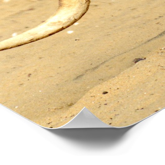 クローズアップkangourou歩く休日はがき ポスター (角)