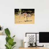 クローズアップkangourou歩く休日はがき ポスター (ホームオフィス)