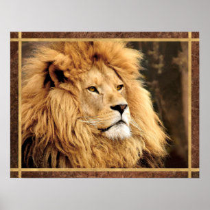 クローズアップLion写真 ポスター