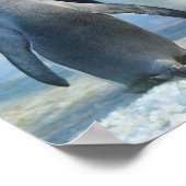 クローズアップPhoto of the Two king Penguins ポスター (角)